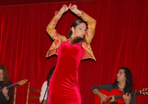 What is Flamenco music? 