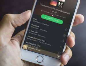 How to Stop Spotify from Adding Songs to My Playlist