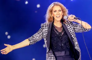 What type of singing voice does Celine Dion have?