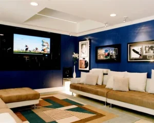 Best Paint Color for Media Room